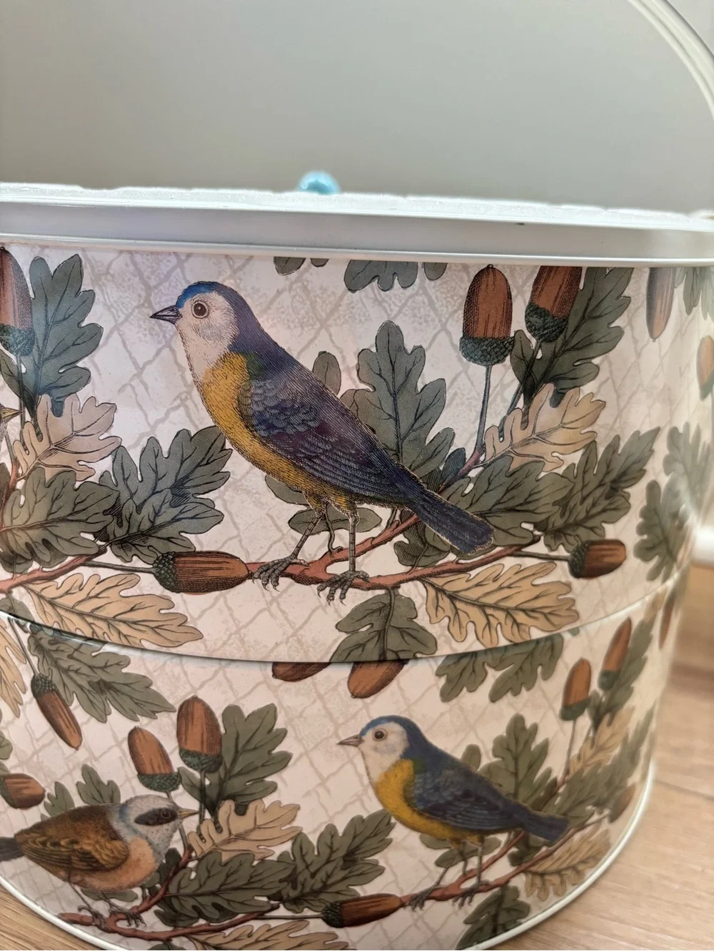 Target John Bird Whimsy Derian 2024 Thanksgiving Double Pie Tin Carrier